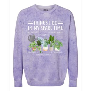 Funny Things I Do In My Spare Time Plant Gardener Gardening Funny Gift Colorblast Crewneck Sweatshirt