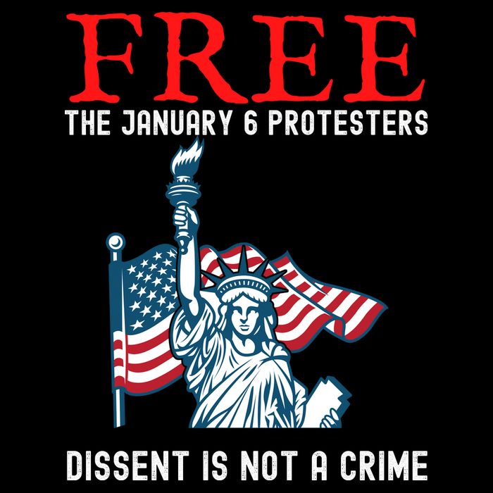 Free The January 6 Protesters Anti Biden Conservative Womens T-Shirt