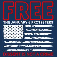 Free The January 6 Protesters Anti Biden Conservative 7 Panel Mesh Trucker Snapback Hat