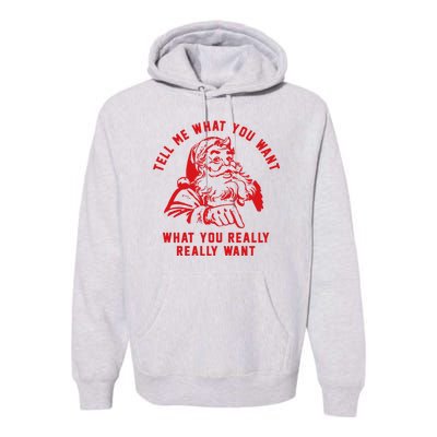 Funny Tell Me What You Want Santa Christmas Gift Premium Hoodie