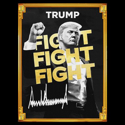 Funny Trump Meme Coin Crypto President Meme T-Shirt