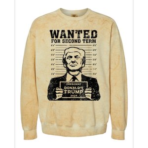 Free Trump Mugshot Wanted For Second Term 2024 Trump 2024 Colorblast Crewneck Sweatshirt