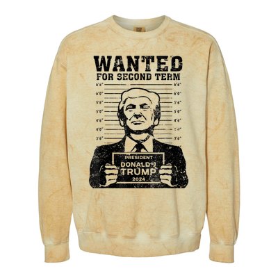 Free Trump Mugshot Wanted For Second Term 2024 Trump 2024 Colorblast Crewneck Sweatshirt