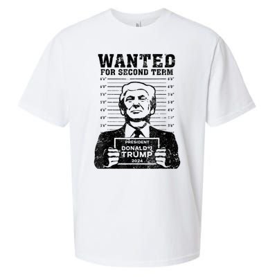 Free Trump Mugshot Wanted For Second Term 2024 Trump 2024 Sueded Cloud Jersey T-Shirt