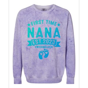 First Time Nana Let The Spoiling Begin New Grandparents Gift Colorblast Crewneck Sweatshirt