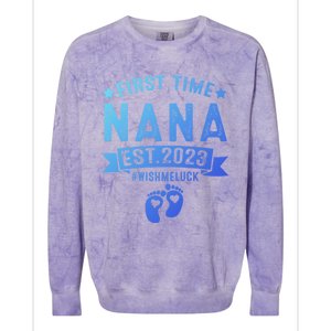 First Time Nana Let The Spoiling Begin New Grandparents Gift Colorblast Crewneck Sweatshirt