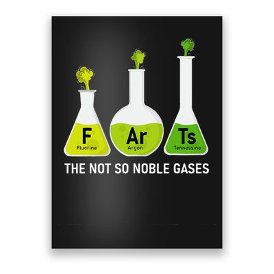 Farts The Not So Noble Gases Funny Chemistry Poster