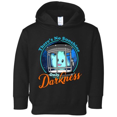 Funny Theres No Sunshine Only Darkness For Men Women Toddler Hoodie