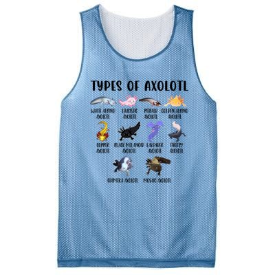 Funny Types Of Axolotl Art Cute Different Species Of Axolotl Mesh Reversible Basketball Jersey Tank