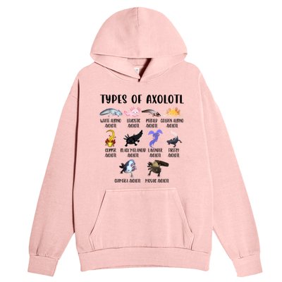 Funny Types Of Axolotl Art Cute Different Species Of Axolotl Urban Pullover Hoodie