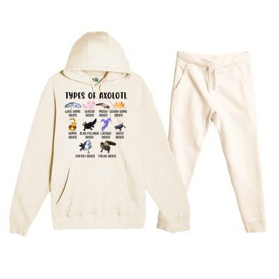 Funny Types Of Axolotl Art Cute Different Species Of Axolotl Premium Hooded Sweatsuit Set