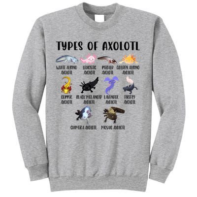 Funny Types Of Axolotl Art Cute Different Species Of Axolotl Sweatshirt