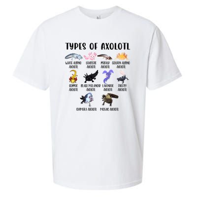 Funny Types Of Axolotl Art Cute Different Species Of Axolotl Sueded Cloud Jersey T-Shirt