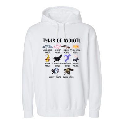 Funny Types Of Axolotl Art Cute Different Species Of Axolotl Garment-Dyed Fleece Hoodie