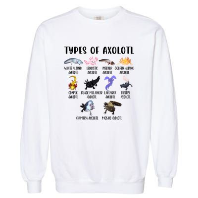 Funny Types Of Axolotl Art Cute Different Species Of Axolotl Garment-Dyed Sweatshirt