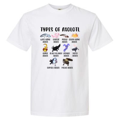 Funny Types Of Axolotl Art Cute Different Species Of Axolotl Garment-Dyed Heavyweight T-Shirt