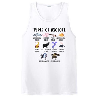 Funny Types Of Axolotl Art Cute Different Species Of Axolotl PosiCharge Competitor Tank