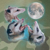 Funny Three Opossum Moon Legacy Tie Dye Trucker Hat