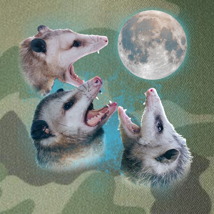 Funny Three Opossum Moon Legacy Tie Dye Trucker Hat