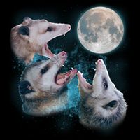 Funny Three Opossum Moon USA-Made Doggie Bandana