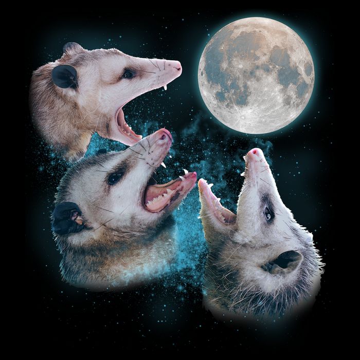 Funny Three Opossum Moon USA-Made Doggie Bandana
