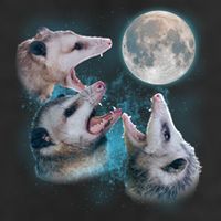 Funny Three Opossum Moon Golf Towel