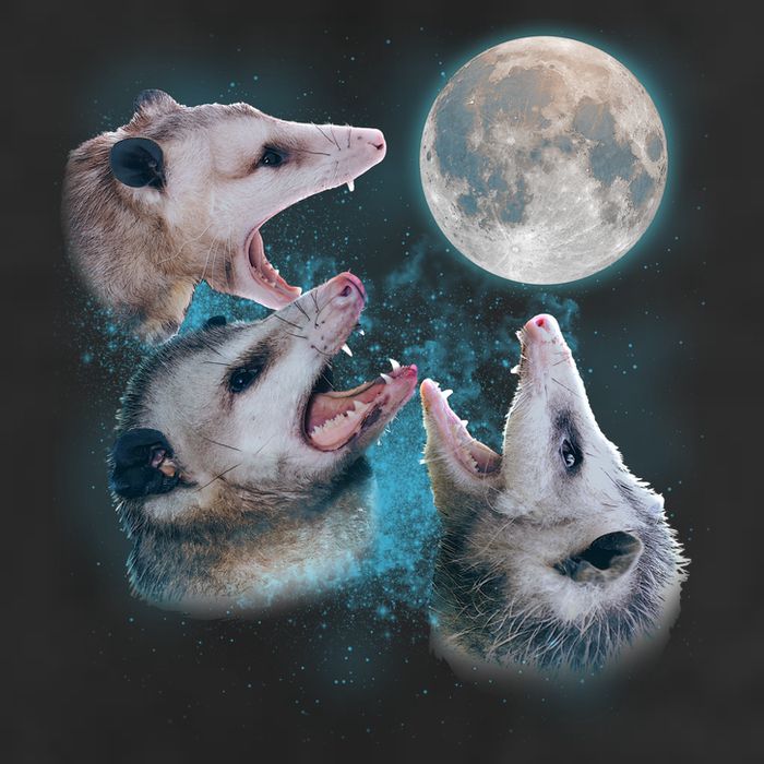 Funny Three Opossum Moon Golf Towel