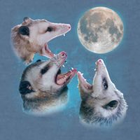 Funny Three Opossum Moon Garment-Dyed Sweatshirt