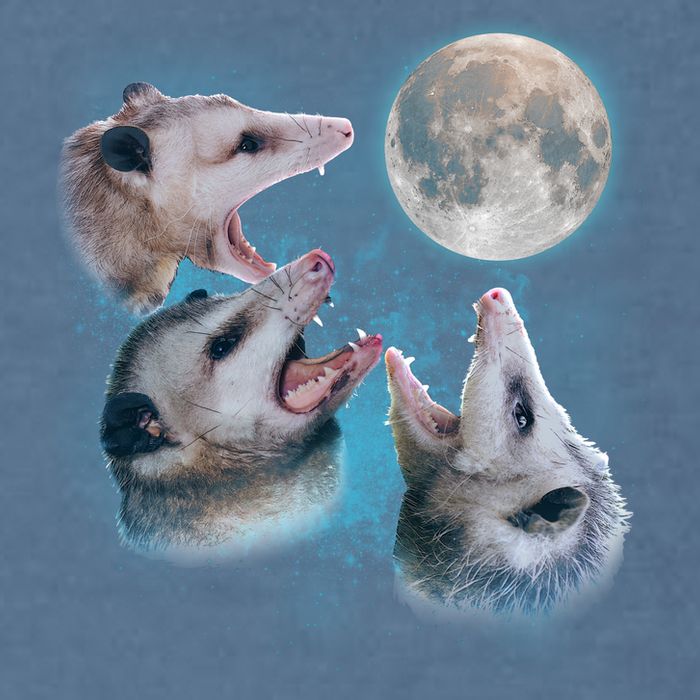 Funny Three Opossum Moon Garment-Dyed Sweatshirt