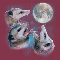 Funny Three Opossum Moon 16oz Travel Tumbler