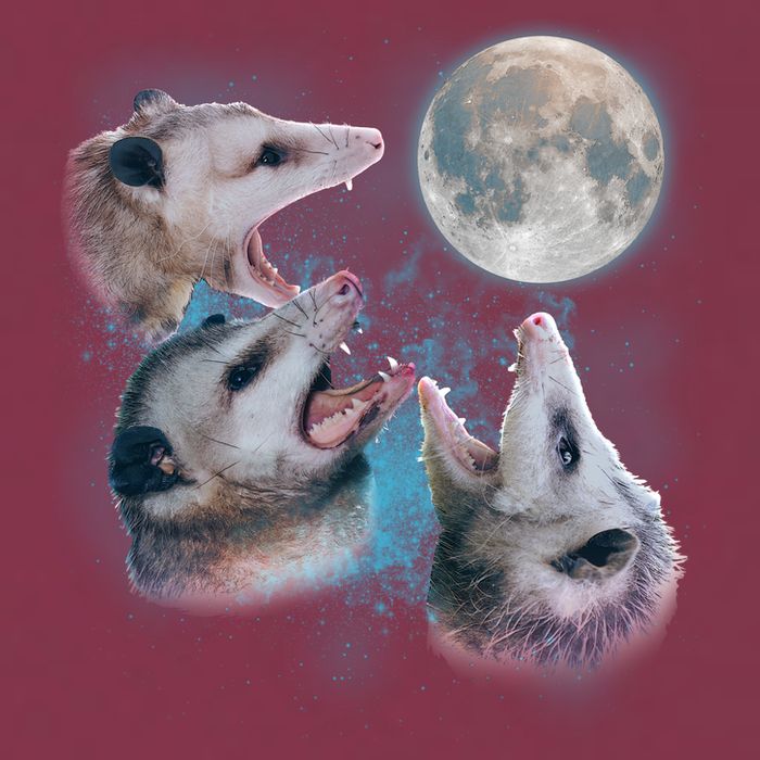 Funny Three Opossum Moon 16oz Travel Tumbler