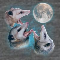 Funny Three Opossum Moon Women's V-Neck T-Shirt