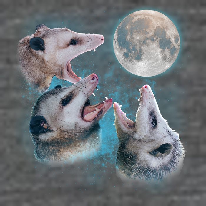 Funny Three Opossum Moon Women's V-Neck T-Shirt