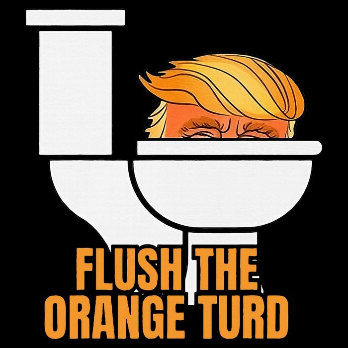 Flush The Orange Turd TrumpS Lawyer Called Him City Backpack