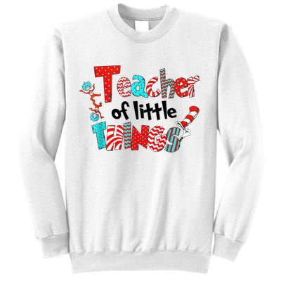 Funny Teacher Of Little Things For Teacher Cat And Hat Sweatshirt