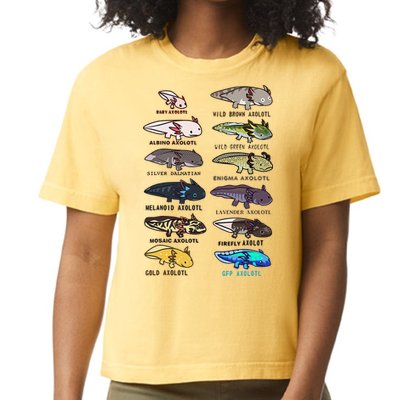Funny Type Of Axolotls Funny Axolotl Lovers  Comfort Colors Boxy T-Shirt