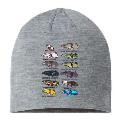 Funny Type Of Axolotls Funny Axolotl Lovers  Sustainable Beanie