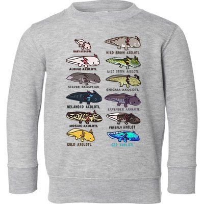 Funny Type Of Axolotls Funny Axolotl Lovers  Toddler Sweatshirt