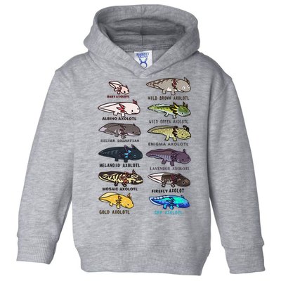 Funny Type Of Axolotls Funny Axolotl Lovers  Toddler Hoodie
