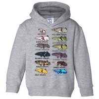 Funny Type Of Axolotls Funny Axolotl Lovers  Toddler Hoodie