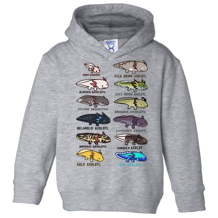 Funny Type Of Axolotls Funny Axolotl Lovers  Toddler Hoodie