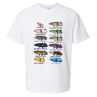 Funny Type Of Axolotls Funny Axolotl Lovers  Sueded Cloud Jersey T-Shirt