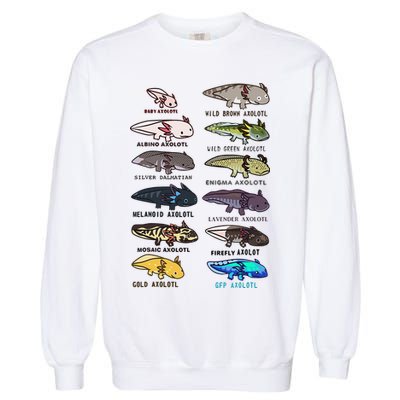 Funny Type Of Axolotls Funny Axolotl Lovers  Garment-Dyed Sweatshirt