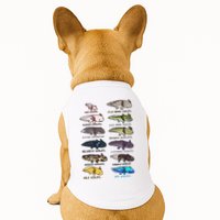 Funny Type Of Axolotls Funny Axolotl Lovers  Doggie Tank