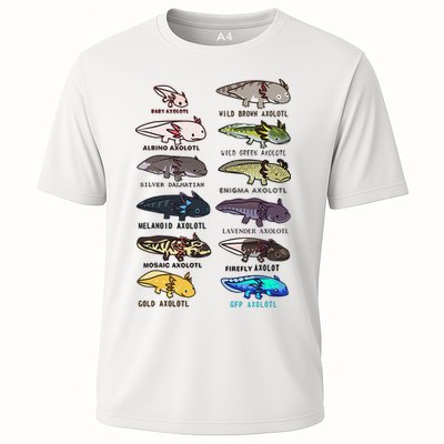 Funny Type Of Axolotls Funny Axolotl Lovers  Performance Shirt
