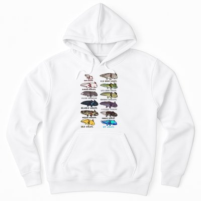 Funny Type Of Axolotls Funny Axolotl Lovers  Hoodie