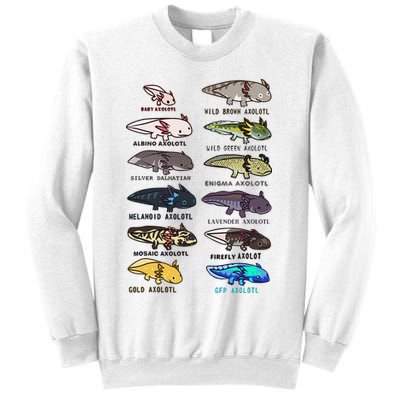 Funny Type Of Axolotls Funny Axolotl Lovers  Sweatshirt
