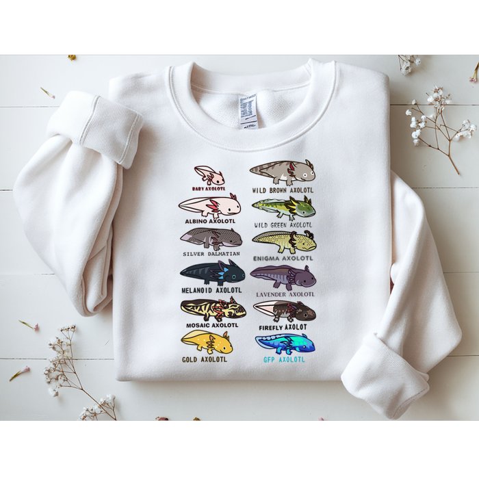 Funny Type Of Axolotls Funny Axolotl Lovers  Sweatshirt