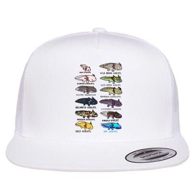 Funny Type Of Axolotls Funny Axolotl Lovers  Flatbill Hat