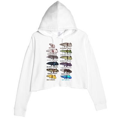 Funny Type Of Axolotls Funny Axolotl Lovers  Crop Fleece Hoodie